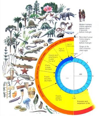 2018年首屆南澳論壇專家演講《生態(tài)文明: 人類文明進(jìn)程的新階段》