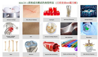 生物軟組織多尺度力學(xué)特性測試分析系統(tǒng),組織材料多尺度力學(xué)特性測試分析系統(tǒng)