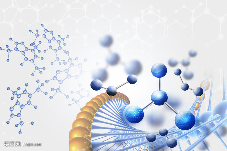 生物分子的結(jié)構(gòu)與功能 生命科學(xué)的基石
