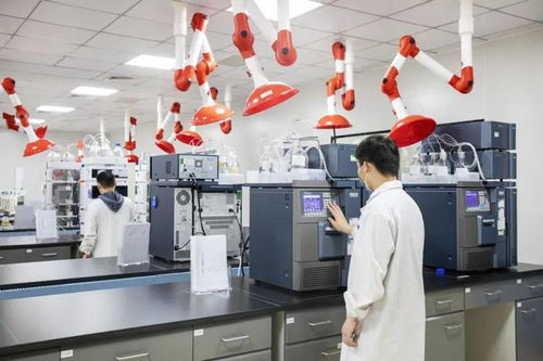 黃陂區(qū)生物產(chǎn)業(yè)招商成果豐碩 德國克諾爾等12個(gè)重大項(xiàng)目落戶