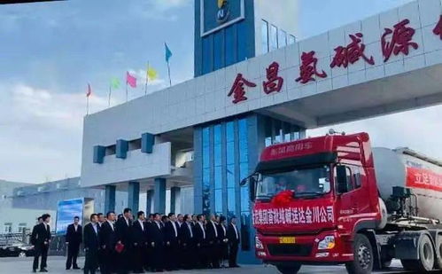 金泥集團20萬噸聯堿項目順利投產，純堿產品與翡翠玉石共譜發展新篇