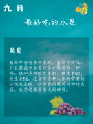 不讓健康再“裸奔”——試看葡萄瀏覽器如何守住你那道防線